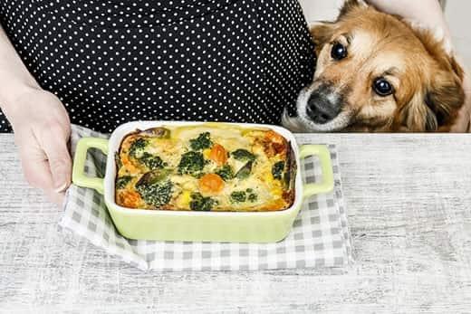 perro-mirando-una-cazuela-junto-a-una-mujer-SW Dog sitting next to a woman in a black and white polka dot dress behind a casserole dish.