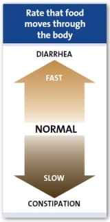 Velocidad de desplazamiento de los alimentos por el cuerpo