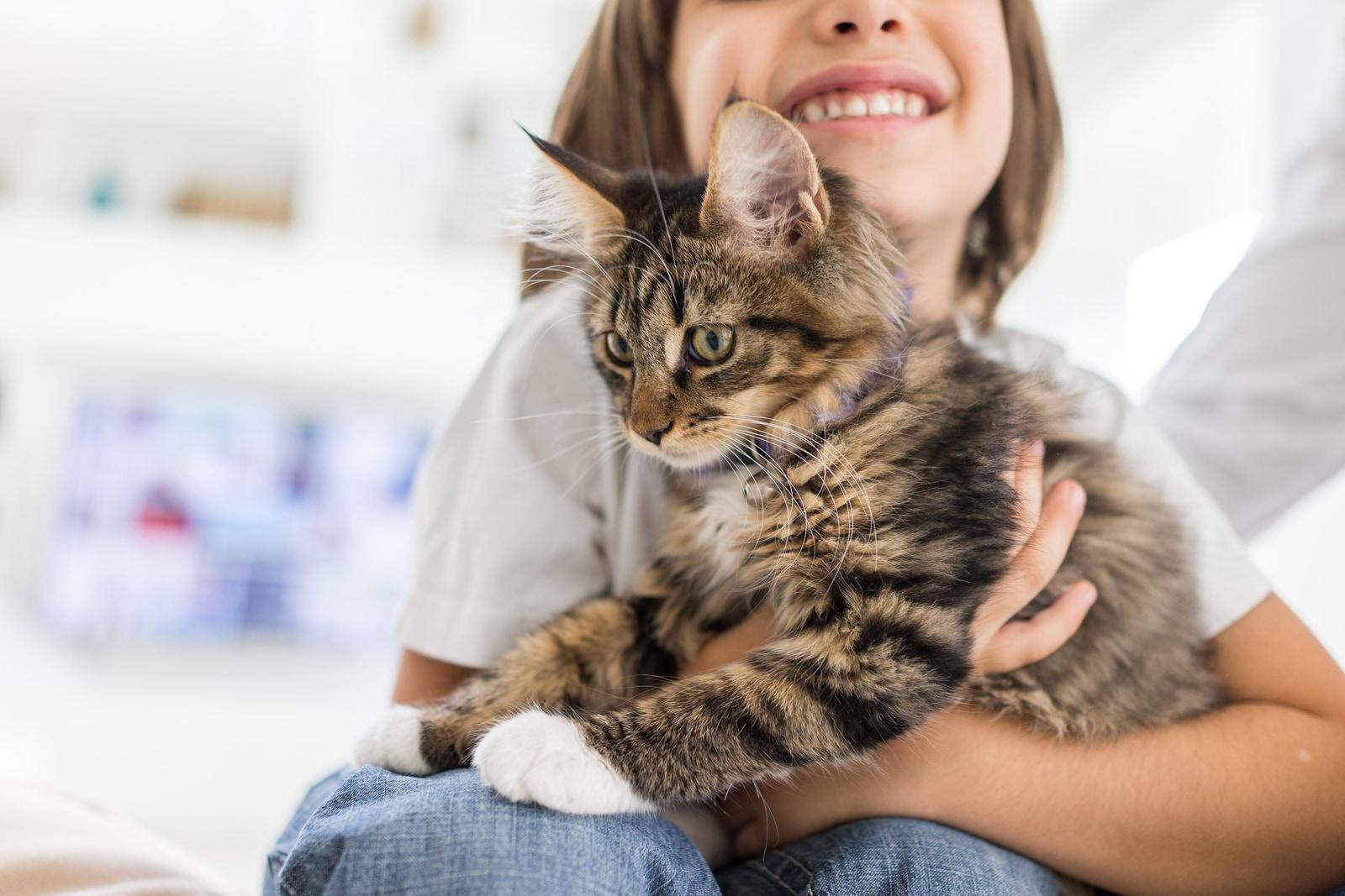 niña-sujetando-un-gato-con-rayas Niña sonriente jugando en casa con un gato con rayas
