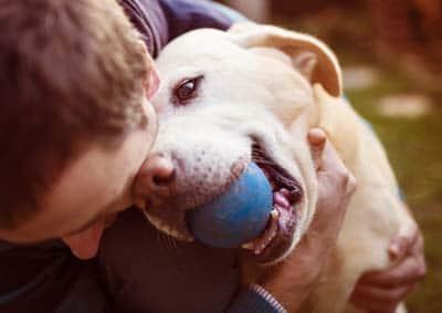 Un hombre y un perro Un hombre abraza a un labrador amarillo con una bola azul en su boca.