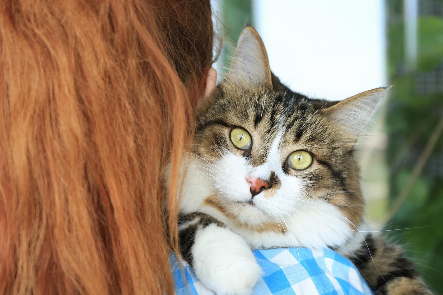 Mujer con camisa de cuadros azules sosteniendo a un gato sobre su hombro derecho.
