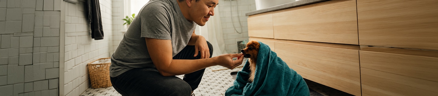 Man crouching down and holding out his hand to toy a breed dog wrapped in a blue towel 