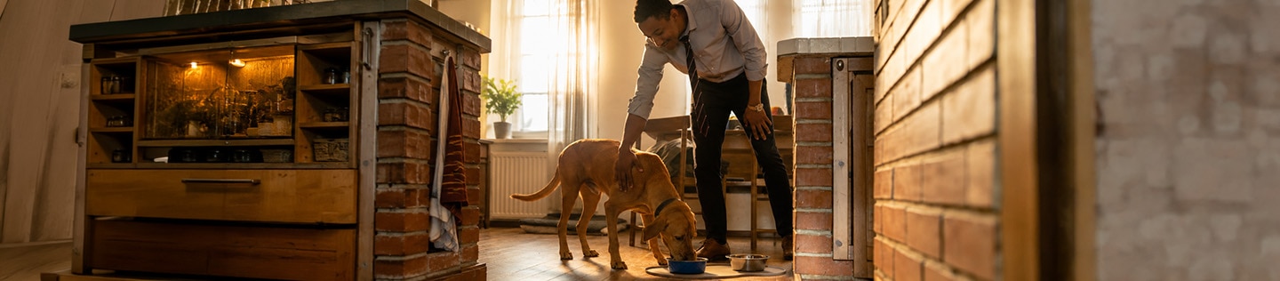 Man leaning down to stroke a large tan dog while it eats from a food bowl 