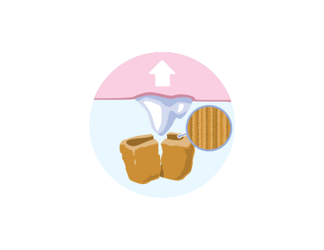 Ilustración del alimento eliminando la placa dental