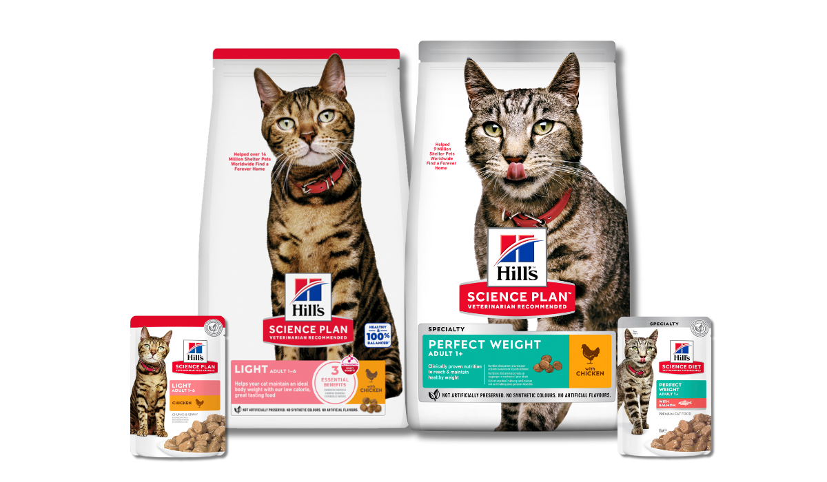 Alimento para gato Science Light y Perfect Weight