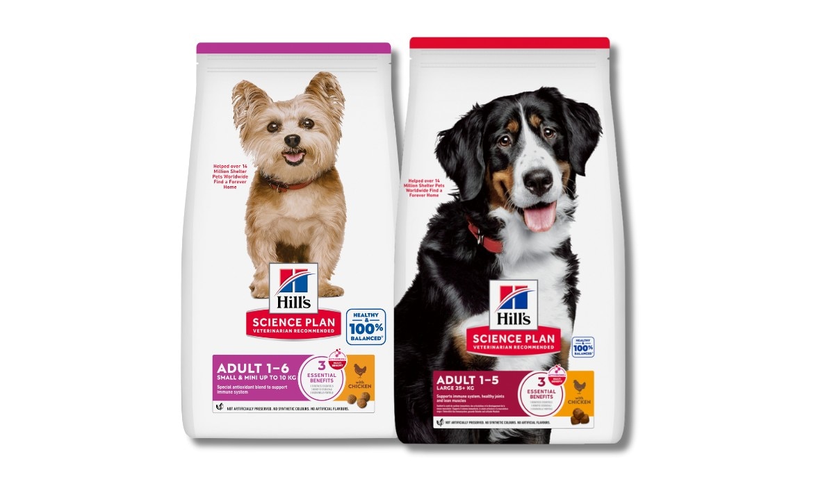 Science Diet para razas pequeñas y grandes