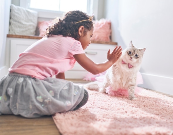 A young girl playing a kitten