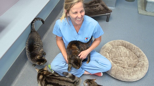 Pet Nutrition Center - vet with dogs