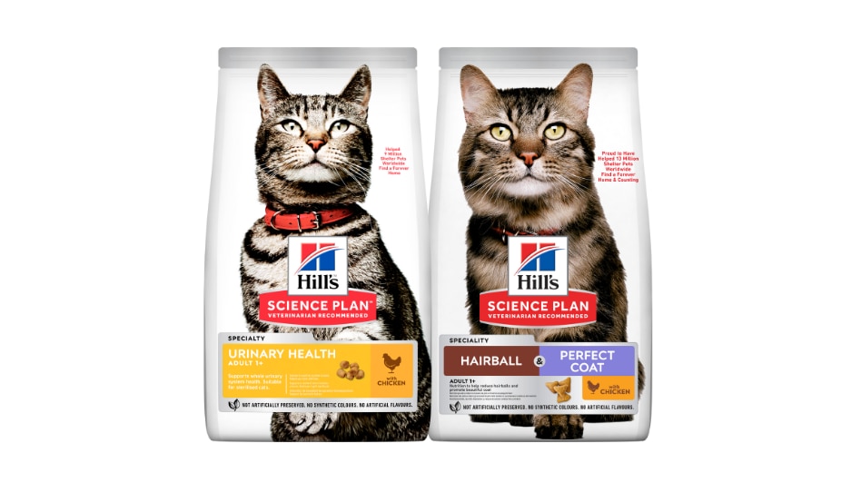 Alimentos para gato Science Plan Urinary, Oral y Hairball & Perfect Coat