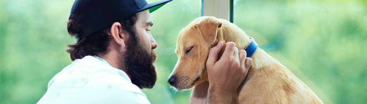 Hombre acariciando a un perro