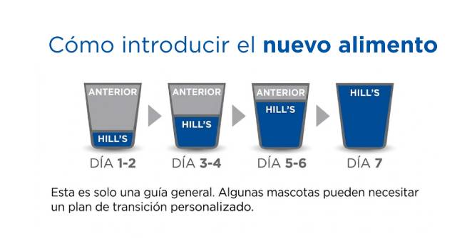 Imagen de transición al alimento Hill's