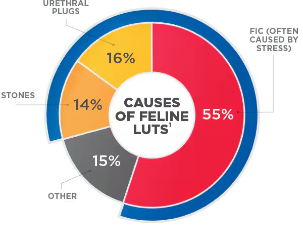 Grafico che mostra le cause Della LUTS felina