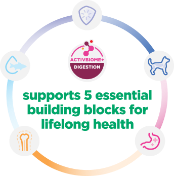 la infografía explica los 5 pilares esenciales de la salud de los cachorros