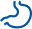 Digestion icon
