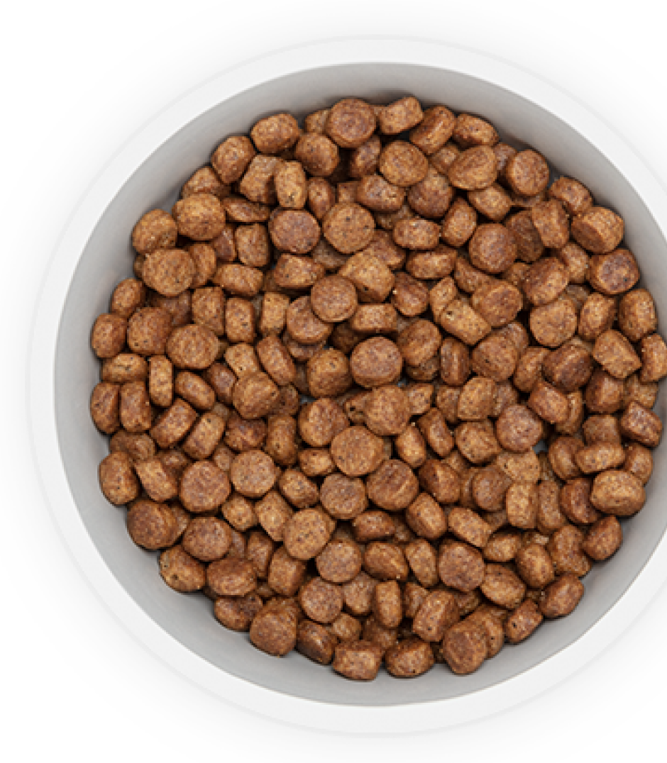 Alimento para perros