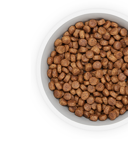 Alimento para perros