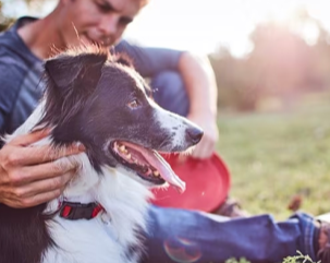 A man petting his pet dog