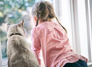 pet parent stroking a black cat with white features