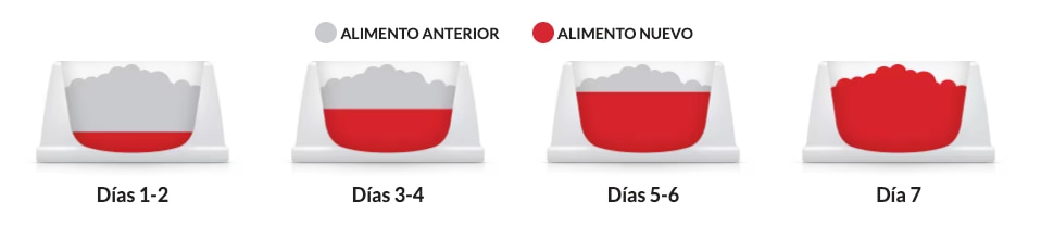 Cambiar a un alimento Hill's