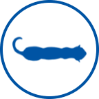 Icono de gato delgado