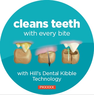 CROQUETAS CON TECNOLOGÍA DENTAL